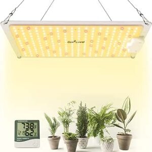 1000 Watt Grow Light